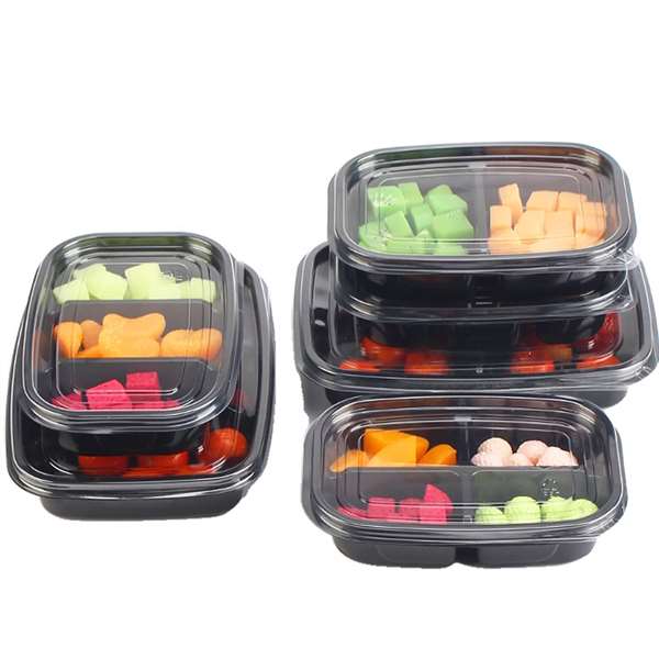 Disposable Lunch Box
