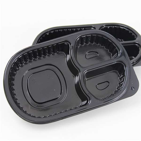 Disposable Lunch Box